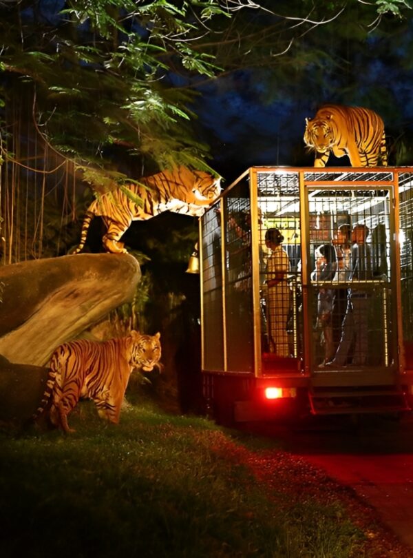 0621-0822_night-safari-bali-safari-park-indonesia-pelago0