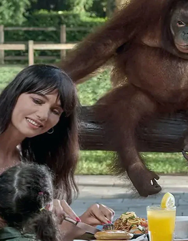 bali-zoo-with-full-packages-breakfast-with-orang-utan-1713952234_1f171f3285d4271e5b38